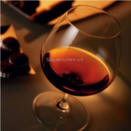 Ly rượu thủy tinh Premium Cognac