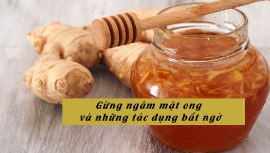 Gừng ngâm mật ong và những tác dụng bất ngờ