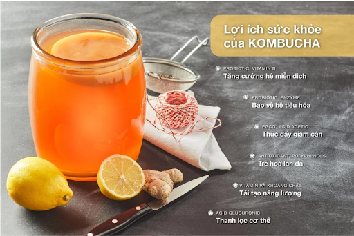 Lợi ích của trà Kombucha