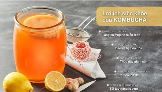 KOMBUCHA - LOẠI NƯỚC UỐNG SIÊU HOT HIỆN NAY ĐƯỢC LÀM NHƯ THẾ NÀO?