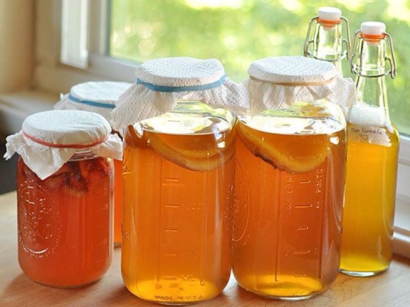 cach-nuoi-scoby-trong-kombucha-cach-bao-quan-kombucha-3