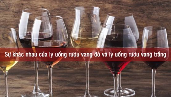 Sự khác nhau của ly uống rượu vang đỏ và ly uống rượu vang trắng